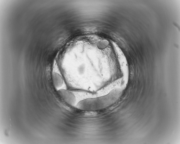 X0000098130369200805081003