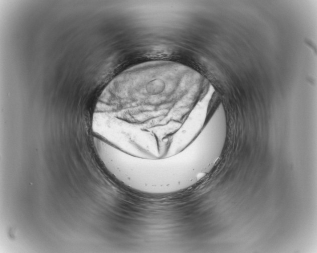 X0000098130370200805081003