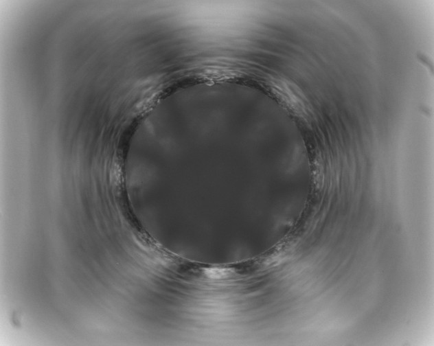 X0000098130371200805081003