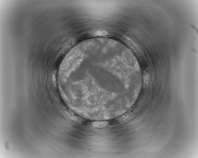 X0000098130373200805081003