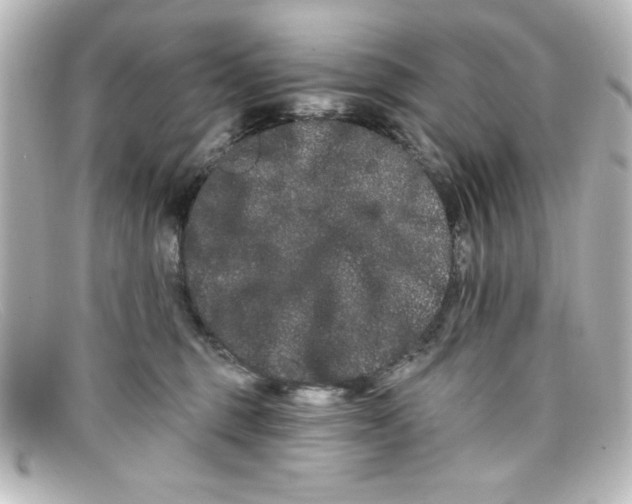X0000098130375200805081003