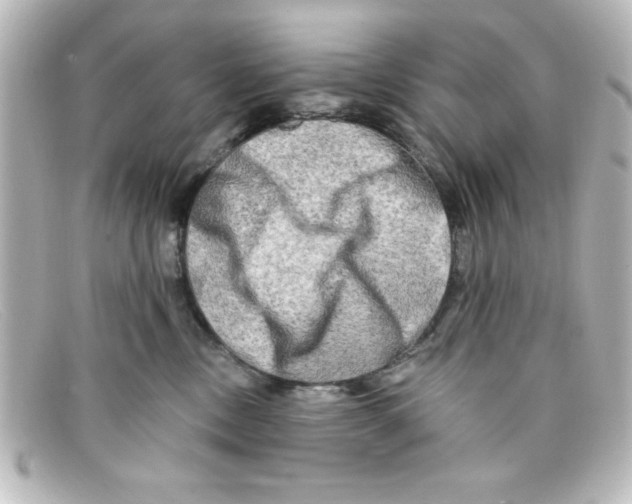 X0000098130378200805081003