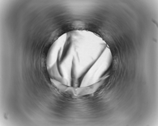 X0000098130379200805081003
