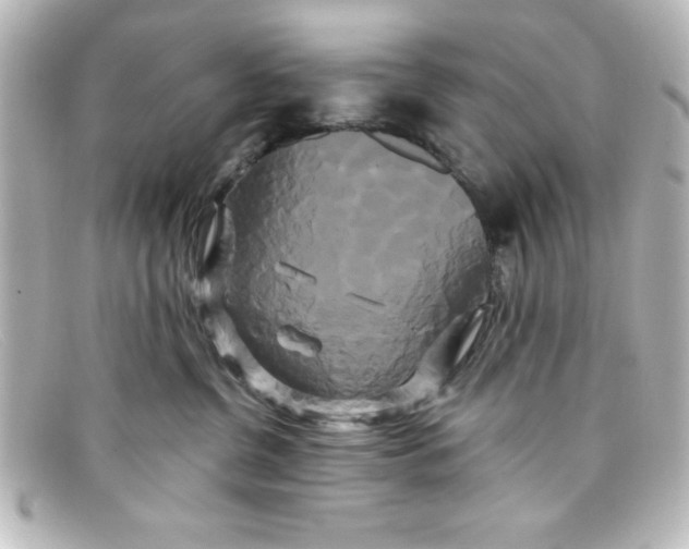 X0000098130380200805081003