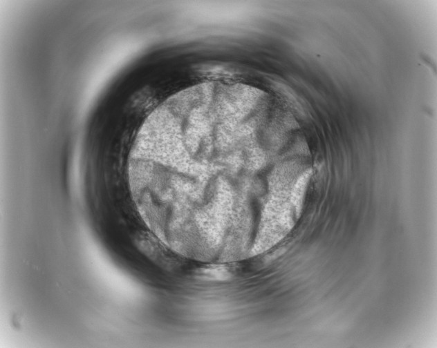X0000098130381200805081003