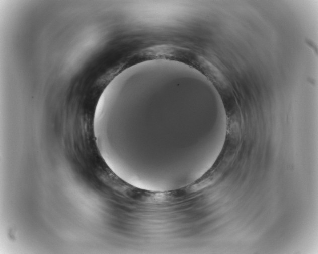 X0000098130382200805081003