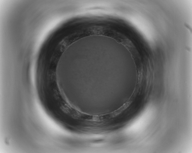 X0000098130383200805081003