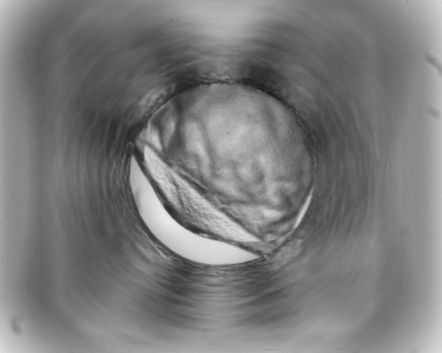 X0000098130384200805081003