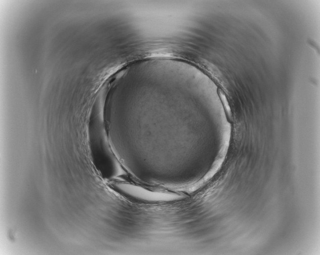 X0000098130385200805081003