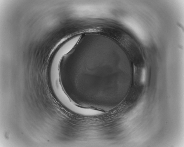 X0000098130387200805081003