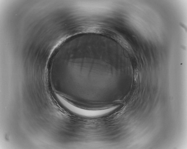 X0000098130388200805081003