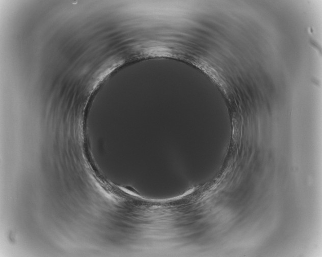 X0000098130390200805081003