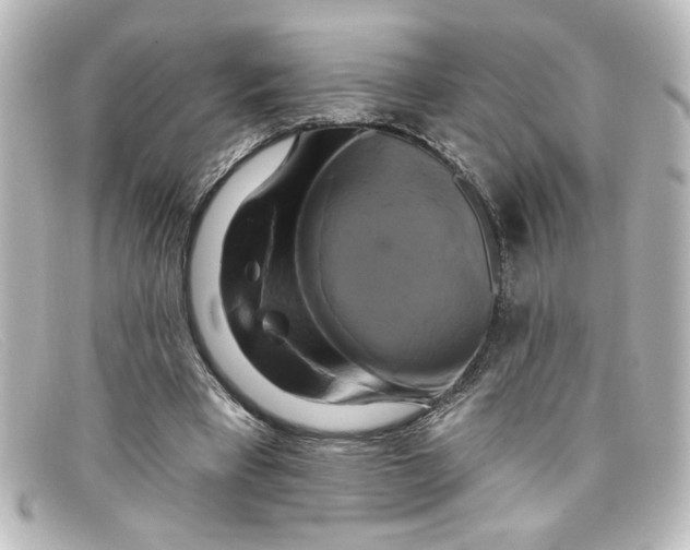 X0000098130393200805081003