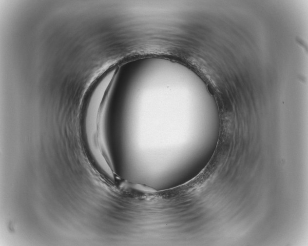 X0000098130395200805081003