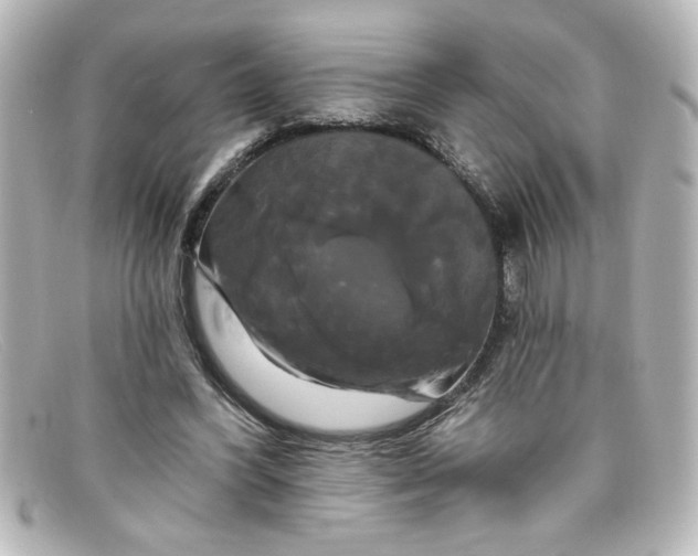 X0000098130396200805081003