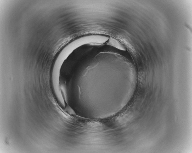 X0000098130397200805081003