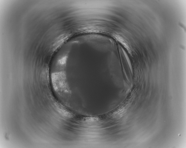 X0000098130398200805081003