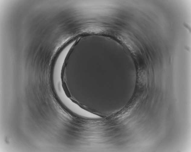 X0000098130399200805081003