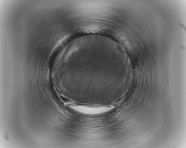 X0000098130400200805081003