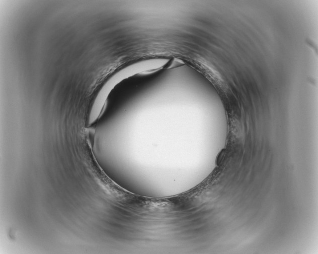 X0000098130401200805081003
