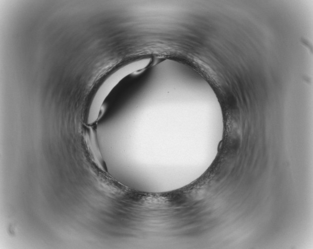 X0000098130403200805081003