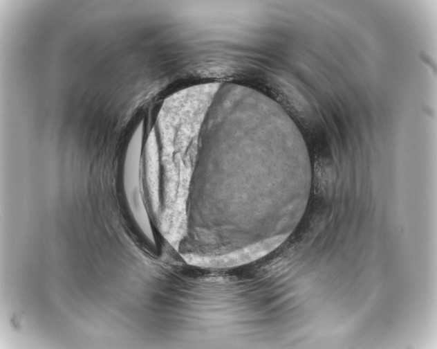 X0000098130404200805081003