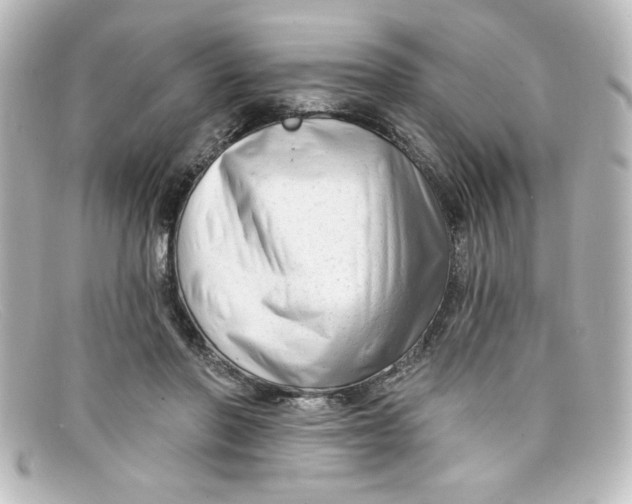 X0000098130406200805081003