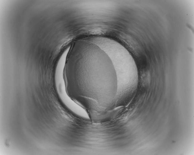 X0000098130407200805081003