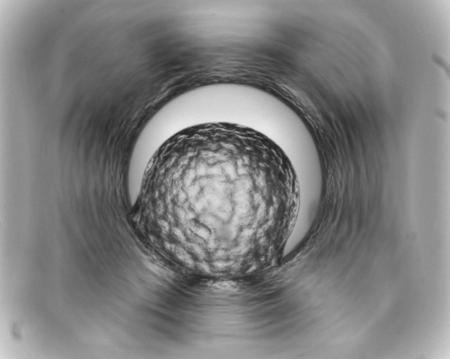 X0000098130409200805081003