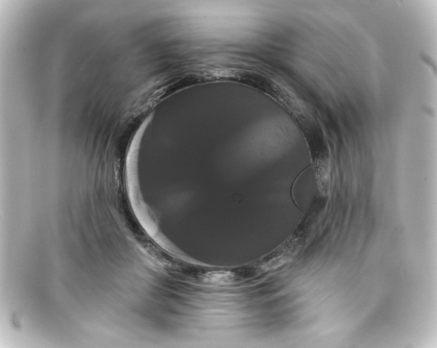 X0000098130410200805081002