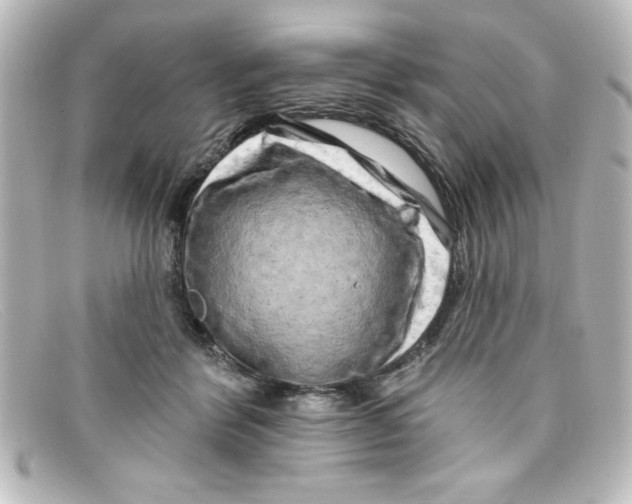 X0000098130412200805081002