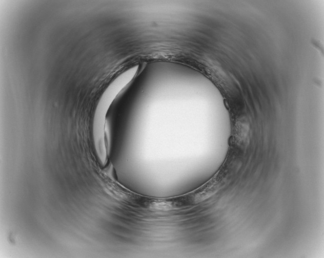 X0000098130413200805081002