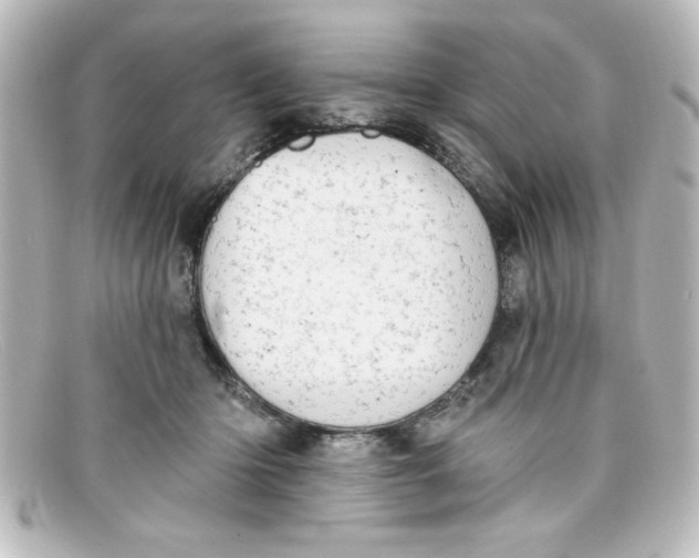 X0000098130414200805081002