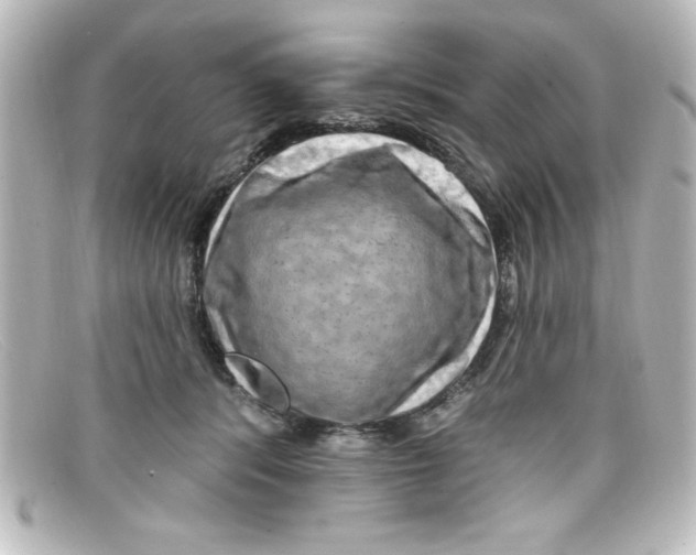 X0000098130416200805081002