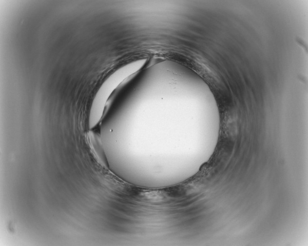 X0000098130417200805081002