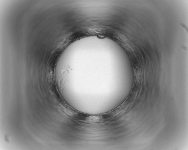 X0000098130418200805081002