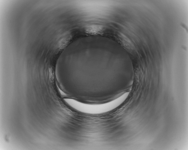 X0000098130420200805081002