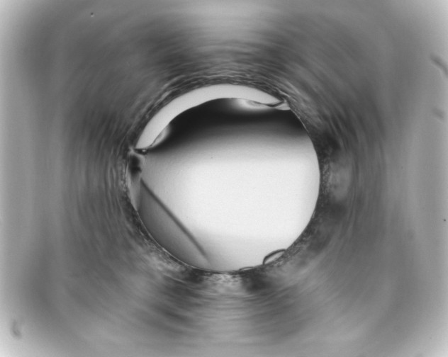 X0000098130421200805081002