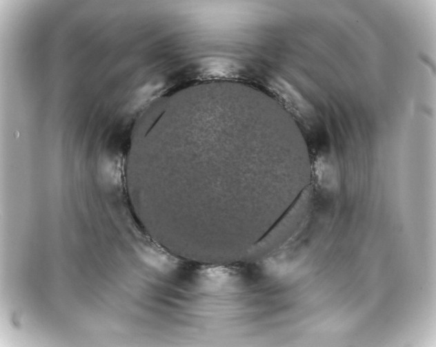 X0000098130423200805081002