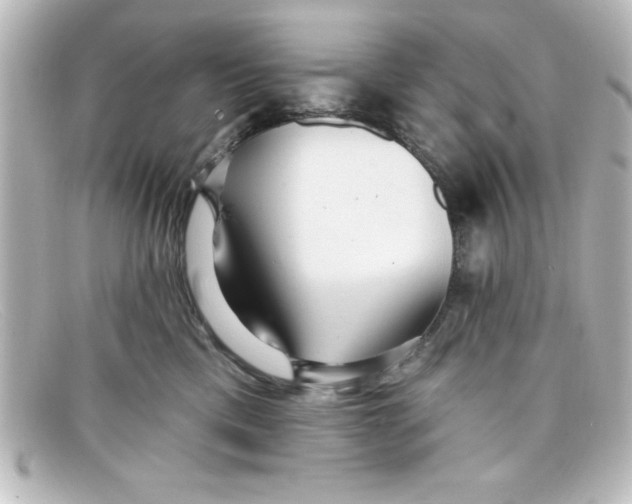 X0000098130425200805081002