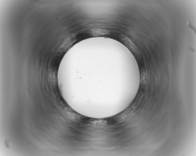 X0000098130426200805081002