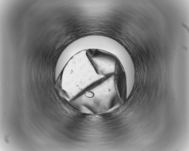 X0000098130427200805081002