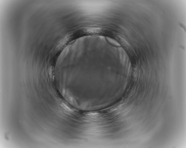 X0000098130428200805081002