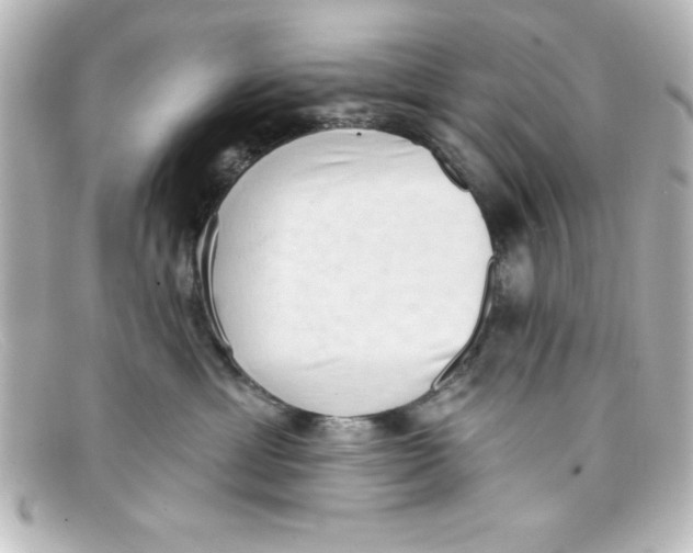 X0000098130429200805081002