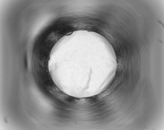 X0000098130430200805081002