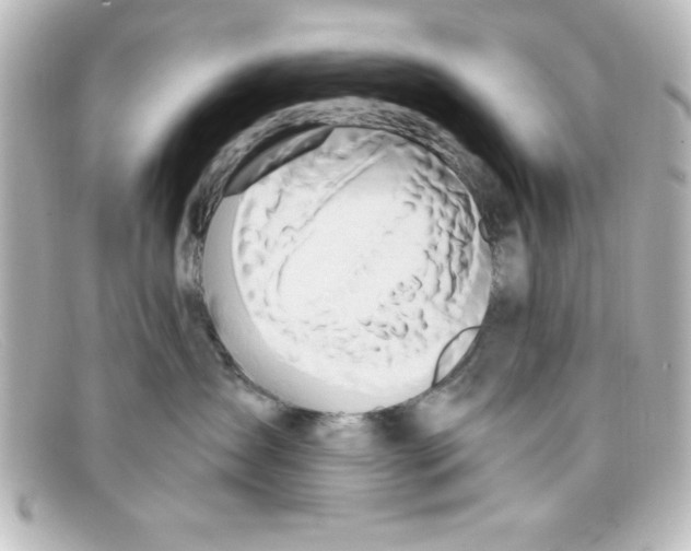 X0000098130431200805081002