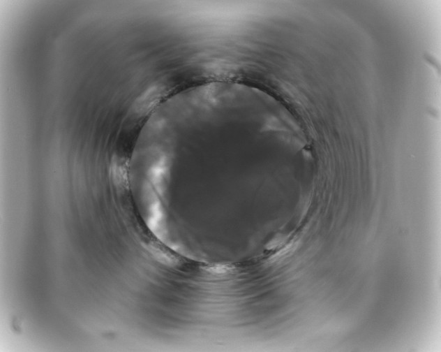 X0000098130432200805081002