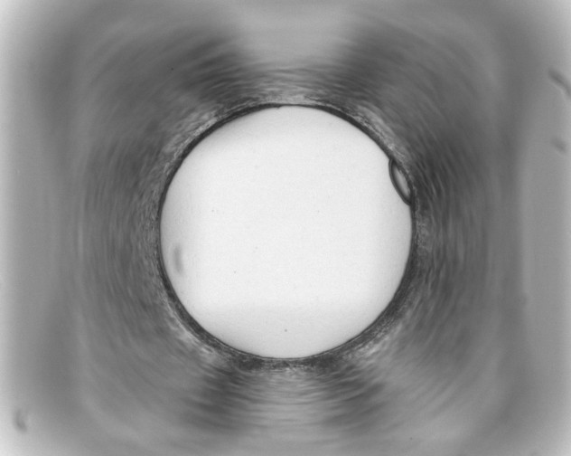 X0000098130433200805081002