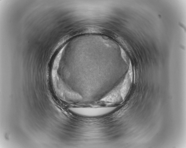 X0000098130435200805081002