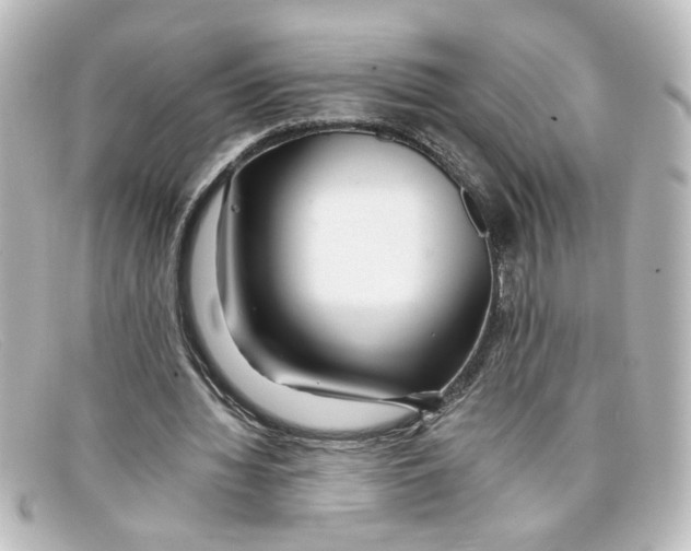 X0000098130436200805081002